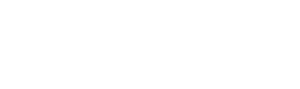 Logo DSV